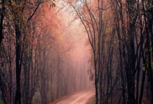 Bitcoin (BTC) Jumps Above $89,000: The Implications for the Future of Crypto