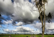 Bitcoin (BTC) Jumps Above $89,000: The Implications for the Future of Crypto